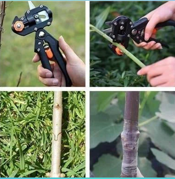 🌿✂️ गार्डेन ग्राफ्टिङ टुल – सजिलो, छिटो, सटीक!