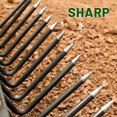 ⛏️✨कृषि नङ्ग्रारो